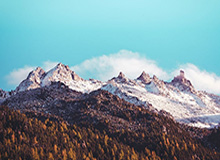 JiuyouSports：科技点亮运动生活的新纪元